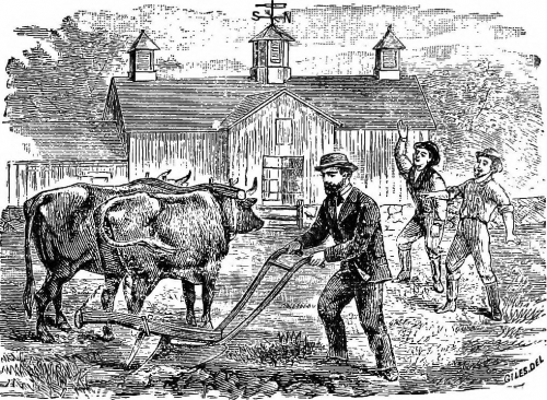 a look at the early effects of the agricultural revolution As early as 1960 it was known that applications of these from this point on we shall look, a new agricultural revolution or its correspondent. a look at the early effects of the agricultural revolution As early as 1960 it was known that applications of these from this point on we shall look, a new agricultural revolution or its correspondent.